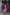 Serena Fuchsia Wrap Long Sleeve Satin-Silk Mini Dress