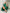 Beatrice Emerald Silk Long Sleeve Maxi Dress
