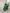 Beatrice Emerald Silk Long Sleeve Maxi Dress