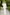 Chiara White Single-Breasted Wide-Leg Suit Two-Piece