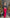 Aurora Red High Waist Flared Crepe Pants