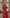 Beatrice Red Collarless Jacket Midi Skirt Two-Piece Suit