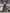 Aurora Navy Wrap Long Sleeve Midi Dress