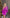Serena Fuchsia Wrap Long Sleeve Satin-Silk Mini Dress