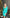 Camilla Green Satin Long Sleeve Mini Dress