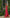 Adriana Coral Strapless V-Neck Culotte Jumpsuit