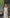 Beatrice White Satin Corseted Strapless Midi Dress