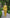 Chiara Mustard Single-Breasted Wide-Leg Suit Two-Piece
