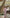 Beatrice Dusty Pink One-Shoulder Puff-Sleeve Maxi Dress