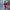 Aurora Fuchsia Puffed Sleeve Midi Prom Dress